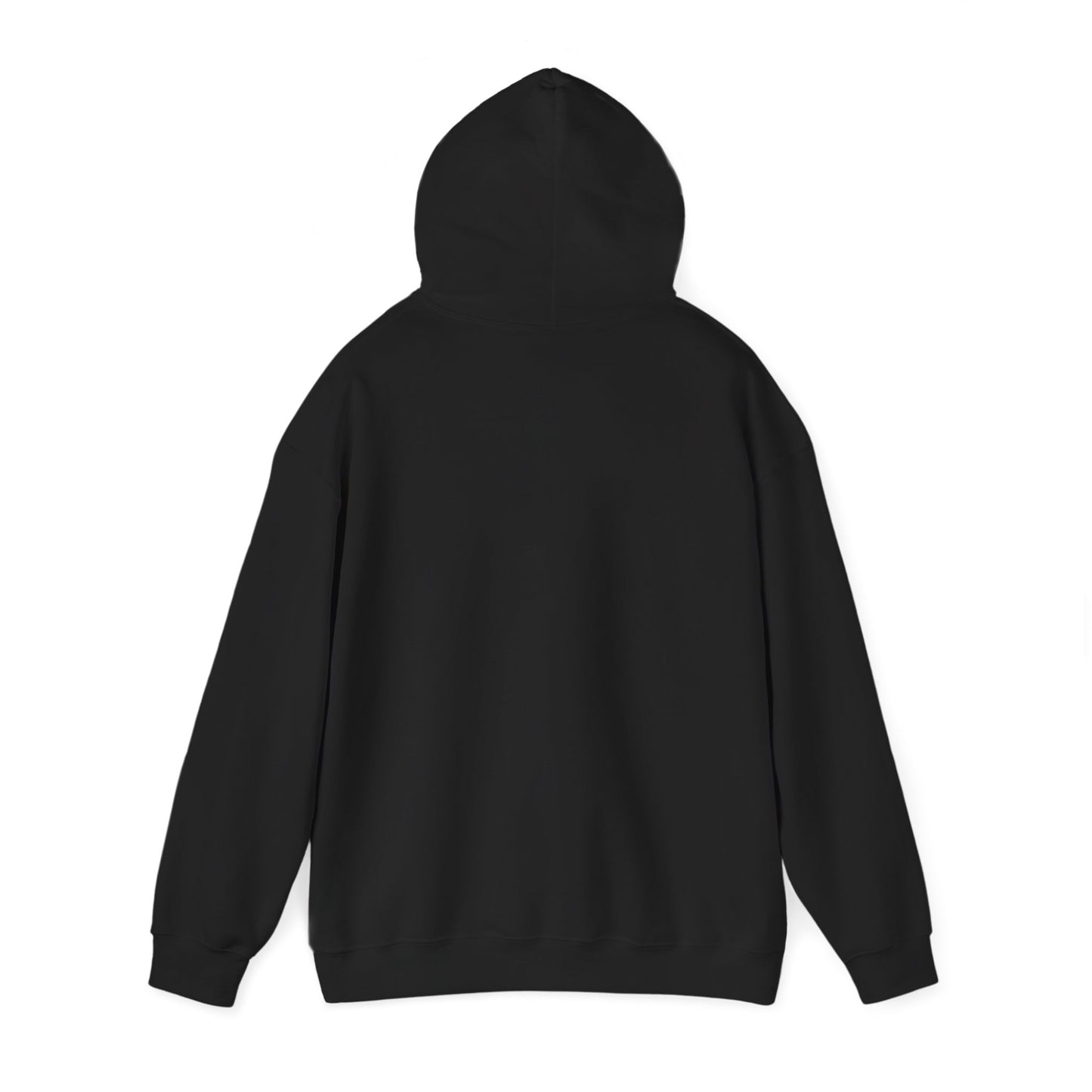 Teach Money Hoodie 2