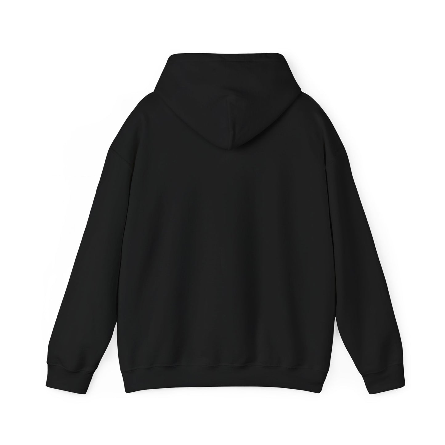 Teach Money Hoodie 2